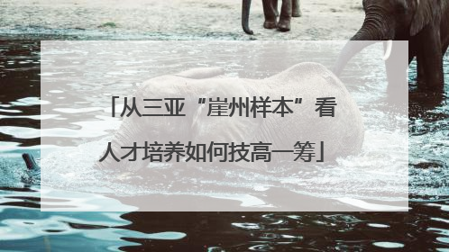 从三亚“崖州样本”看人才培养如何技高一筹