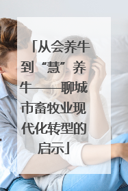 从会养牛到“慧”养牛——聊城市畜牧业现代化转型的启示