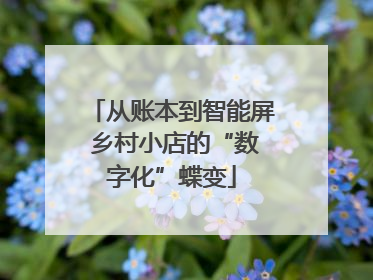 从账本到智能屏 乡村小店的“数字化”蝶变