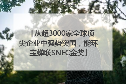 从超3000家全球顶尖企业中强势突围，能环宝蝉联SNEC金奖