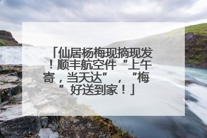 仙居杨梅现摘现发！顺丰航空件“上午寄，当天达”，“梅”好送到家！