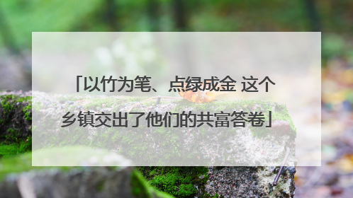 以竹为笔、点绿成金 这个乡镇交出了他们的共富答卷