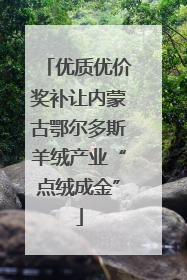 优质优价奖补让内蒙古鄂尔多斯羊绒产业“点绒成金”