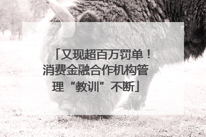 又现超百万罚单！消费金融合作机构管理“教训”不断