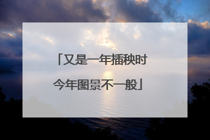又是一年插秧时 今年图景不一般