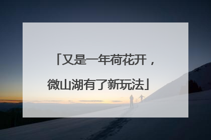 又是一年荷花开，微山湖有了新玩法