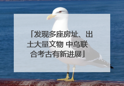 发现多座房址、出土大量文物 中乌联合考古有新进展