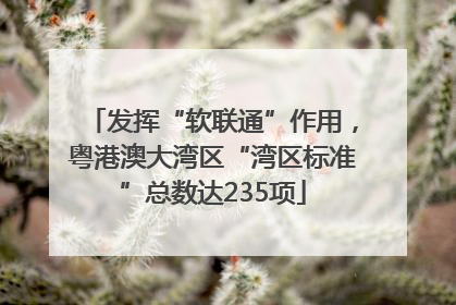 发挥“软联通”作用，粤港澳大湾区“湾区标准”总数达235项
