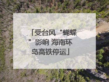 受台风“蝴蝶”影响 海南环岛高铁停运