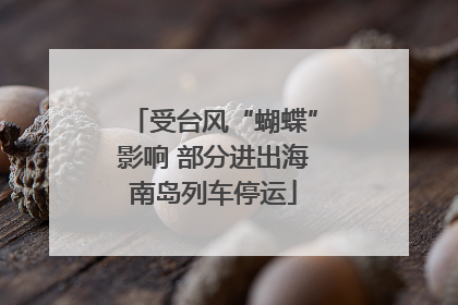受台风“蝴蝶”影响 部分进出海南岛列车停运