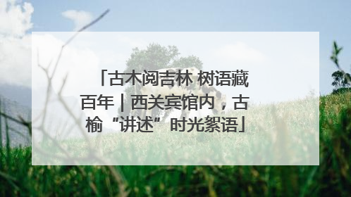 古木阅吉林 树语藏百年｜西关宾馆内，古榆“讲述”时光絮语