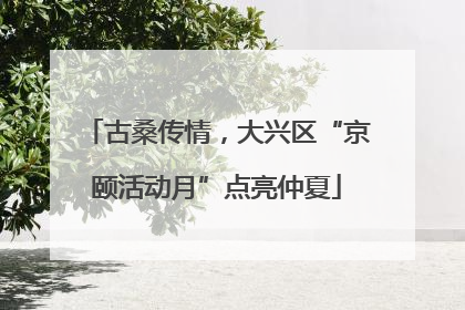 古桑传情，大兴区“京颐活动月”点亮仲夏
