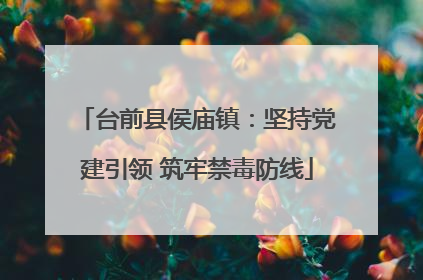 台前县侯庙镇：坚持党建引领 筑牢禁毒防线