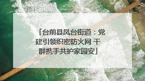 台前县凤台街道：党建引领织密防火网 干群携手共护家园安