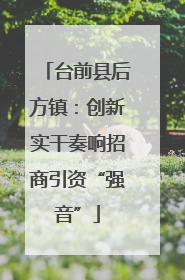 台前县后方镇：创新实干奏响招商引资“强音”
