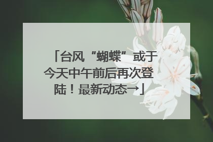 台风“蝴蝶”或于今天中午前后再次登陆！最新动态→