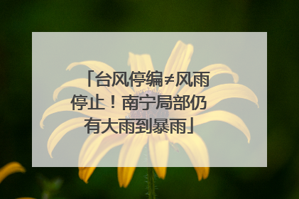 台风停编≠风雨停止！南宁局部仍有大雨到暴雨