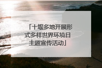 十堰多地开展形式多样世界环境日主题宣传活动