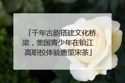 千年古韵搭建文化桥梁，美国青少年在镇江高职校体验唐菓宋茶