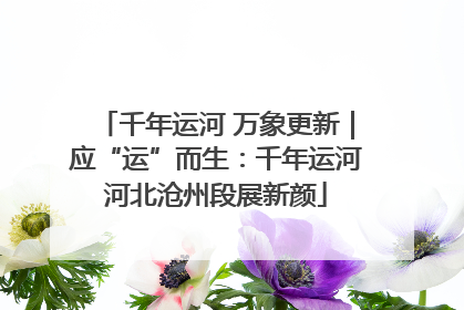 千年运河 万象更新｜应“运”而生：千年运河河北沧州段展新颜