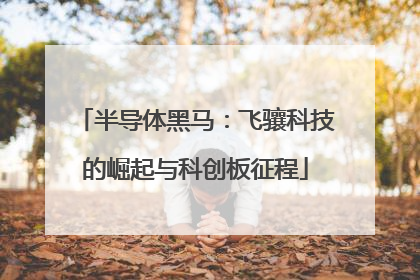 半导体黑马：飞骧科技的崛起与科创板征程
