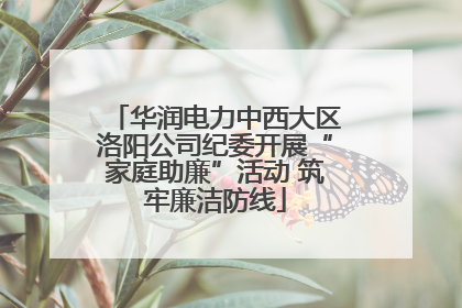 华润电力中西大区洛阳公司纪委开展“家庭助廉”活动 筑牢廉洁防线