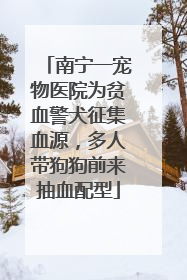 南宁一宠物医院为贫血警犬征集血源，多人带狗狗前来抽血配型
