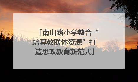 南山路小学整合“培真教联体资源”打造思政教育新范式