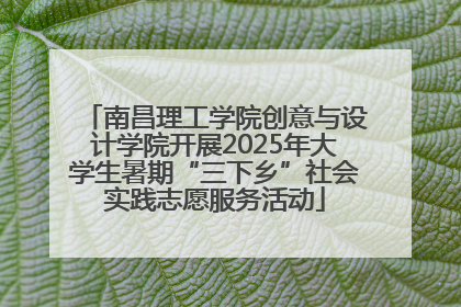 南昌理工学院创意与设计学院开展2025年大学生暑期“三下乡”社会实践志愿服务活动