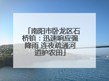 南阳市卧龙区石桥镇：迅速响应强降雨 连夜疏通河道护农田