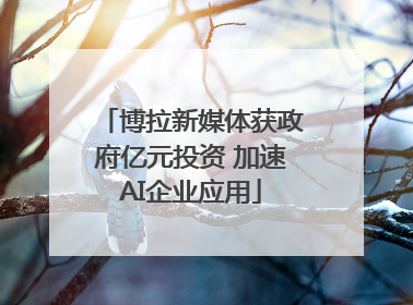 博拉新媒体获政府亿元投资 加速AI企业应用