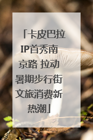 卡皮巴拉IP首秀南京路 拉动暑期步行街文旅消费新热潮