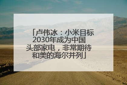 卢伟冰：小米目标2030年成为中国头部家电，非常期待和美的海尔并列