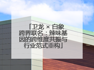 卫龙 × 白象跨界联名：辣味基因的跨维度共振与行业范式重构