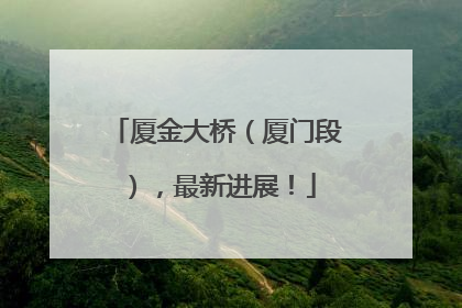 厦金大桥（厦门段），最新进展！