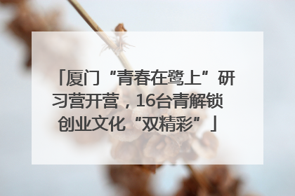 厦门“青春在鹭上”研习营开营，16台青解锁创业文化“双精彩”