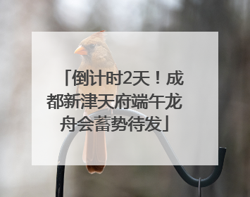 倒计时2天！成都新津天府端午龙舟会蓄势待发