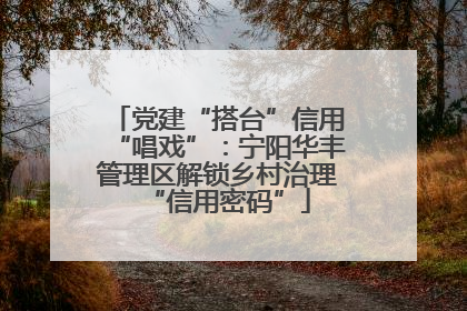 党建“搭台”信用“唱戏”：宁阳华丰管理区解锁乡村治理“信用密码”