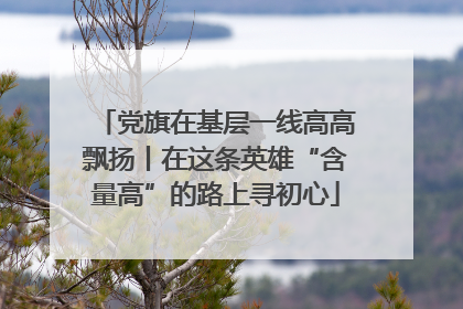 党旗在基层一线高高飘扬丨在这条英雄“含量高”的路上寻初心