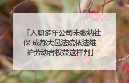 入职多年公司未缴纳社保 成都大邑法院依法维护劳动者权益这样判