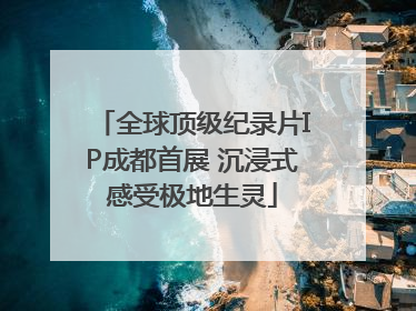 全球顶级纪录片IP成都首展 沉浸式感受极地生灵