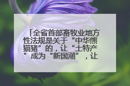 全省首部畜牧业地方性法规是关于“中华熊猫猪”的，让“土特产”成为“新国潮”，让“农产品”升格为“城市IP”