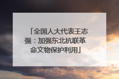 全国人大代表王志强：加强东北抗联革命文物保护利用