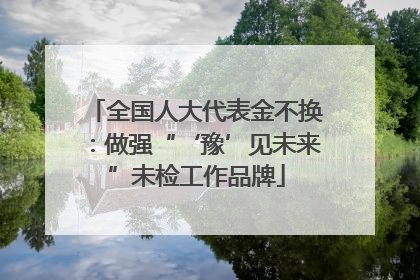 全国人大代表金不换：做强“‘豫’见未来”未检工作品牌