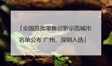 全国首批零售创新示范城市名单公布 广州、深圳入选