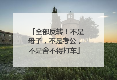 全部反转！不是母子，不是考公，不是舍不得打车