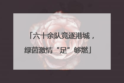 六十余队竞逐港城，绿茵激情“足”够燃