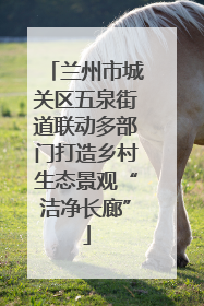 兰州市城关区五泉街道联动多部门打造乡村生态景观“洁净长廊”