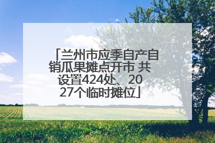兰州市应季自产自销瓜果摊点开市 共设置424处、2027个临时摊位