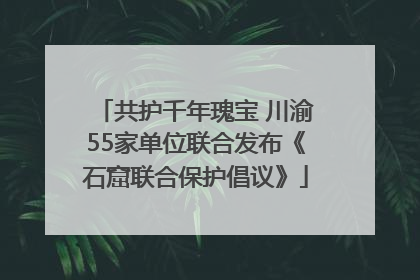 共护千年瑰宝 川渝55家单位联合发布《石窟联合保护倡议》